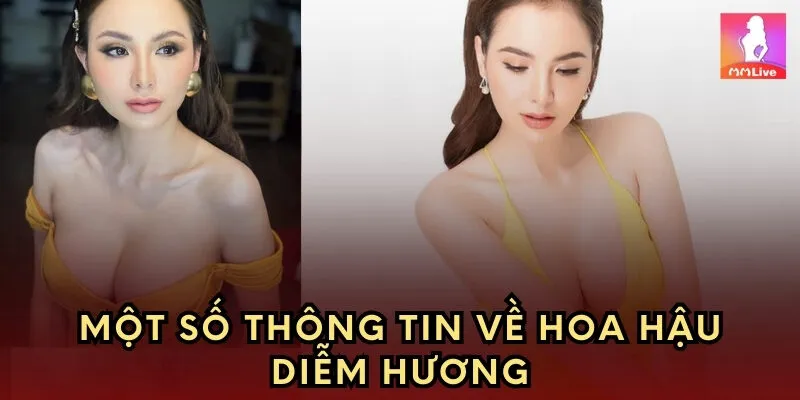 Một số thông tin về Hoa hậu Diễm Hương