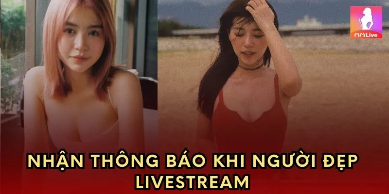 Nhận thông báo khi người đẹp Livestream